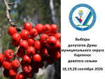 Назначены Выборы депутатов Думы МО Карпинск