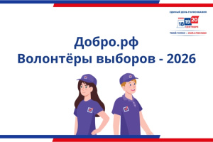 Волонтеры выборов 2026