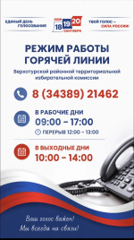 РАБОТА ГОРЯЧЕЙ ЛИНИИ ВЕРХОТУРСКОЙ РАЙОННОЙ ТИК