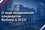 О ходе выдвижения кандидатов. Выборы в ЗССО