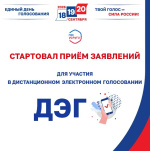 Дистанционное электронное голосование: заявление для участия уже можно подать!