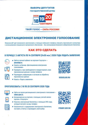 2026 - Дистанционное электронное голосование