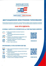 2026 - Дистанционное электронное голосование