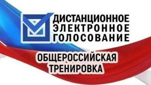 Тренировка ДЭГ