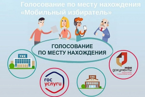 Голосование по месту нахождения