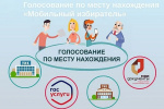 Голосование по месту нахождения