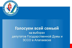 Голосуем всей семьей