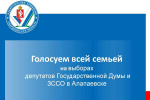 Голосуем всей семьей