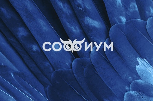 «Софиум» - восьмая Всероссийская олимпиада по избирательному праву