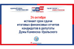 Осталось 10 дней до окончания срока представления итоговых финансовых отчетов кандидатов