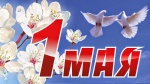 С праздником 1 мая!