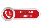 По состоянию на 11 часов дня голосования в справочно-информационный центр поступило 29 обращений