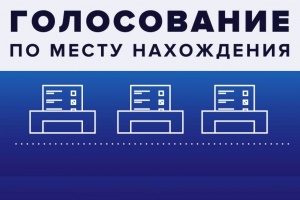 Подано 2703 заявления о голосовании по месту нахождения