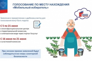 Голосование по месту нахождения