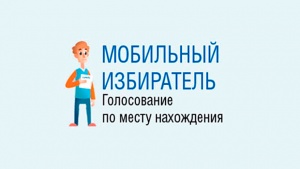 Мобильный избиратель