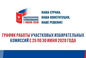 Голосование на придомовых территориях