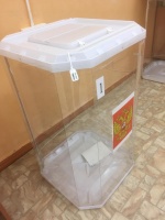 Первые проголосовавшие в Серове