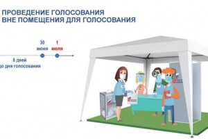 Придомовое голосование