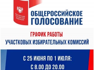 В Новоуральске будет испытана новая форма голосования