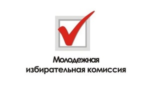 В Новой Ляле начинается формирование молодёжного избиркома 