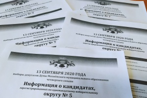 Информационные плакаты о кандидатах изготовили в Алапаевском районе