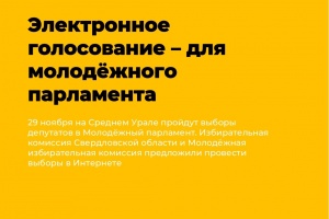 Электронное голосование – для молодёжного парламента