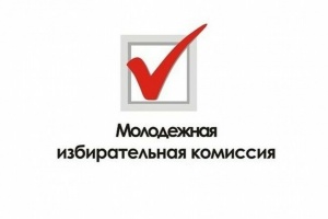 Каменский молодежный избирком сформирован
