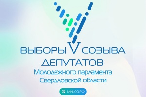 В муниципалитетах Свердловской области началась подготовка к выборам Молодежного парламента региона