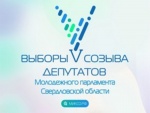 Выборы в Молодежный парламент Свердловской области: наглядно и понятно