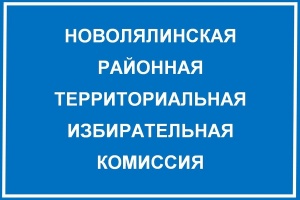Прошло четвертое заседание Новолялинской районной ТИК