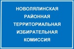 Прошло четвертое заседание Новолялинской районной ТИК