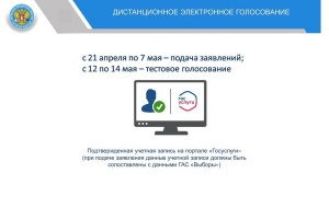 Стань участником дистанционного электронного голосования