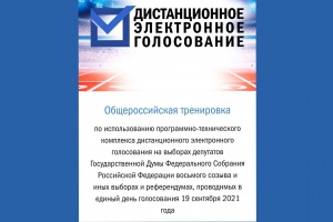 Тестирование системы дистанционного электронного голосования