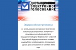 Тестирование системы дистанционного электронного голосования
