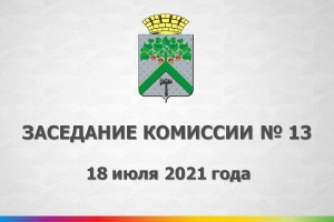 Состоялось 13-е заседание Верхнесалдинской РТИК