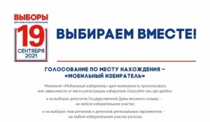 Голосуем по месту нахождения