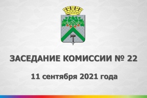 Состоялось 22-е заседание Верхнесалдинской РТИК
