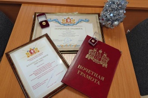 Организаторам выборов вручены награды