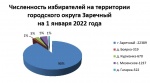 СКОЛЬКО НАС, ИЗБИРАТЕЛЕЙ?