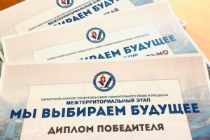 Подведены итоги первого тура областного этапа конкурса «Мы выбираем будущее»