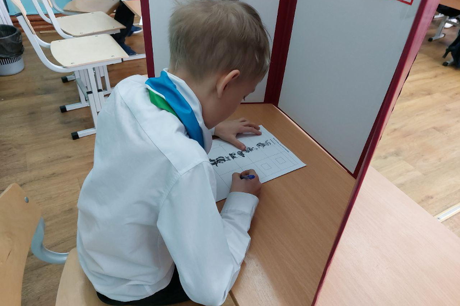 выборы
