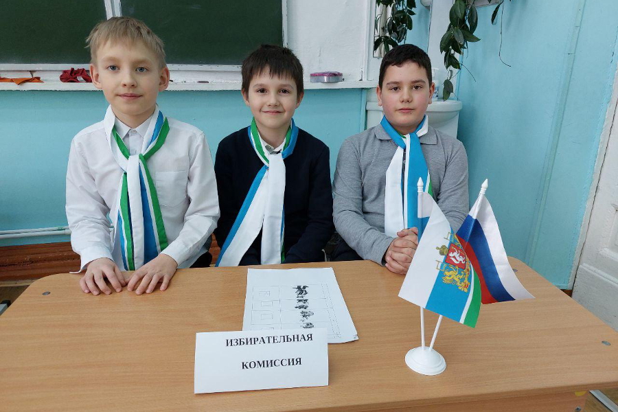 выборы